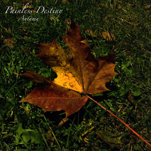 Pornhub最新版免费入口
