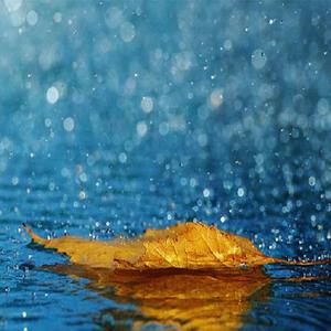 Pornhub最新版免费入口
