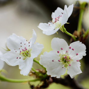 Pornhub最新版免费入口
